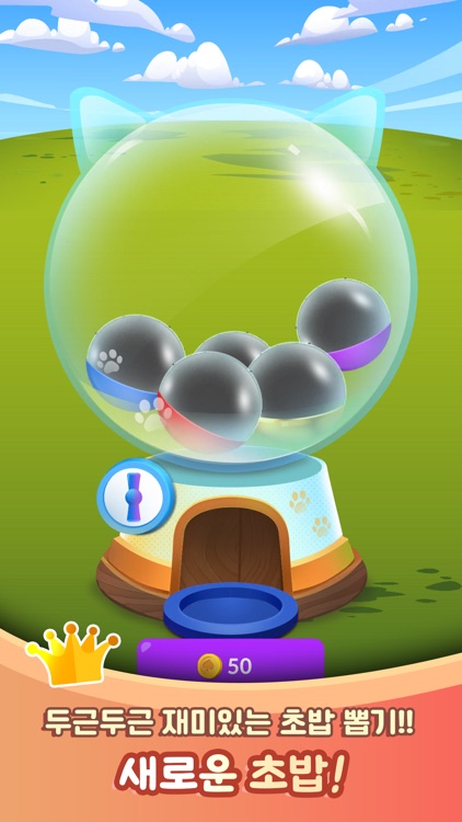 솔리테어: 초밥의 일생