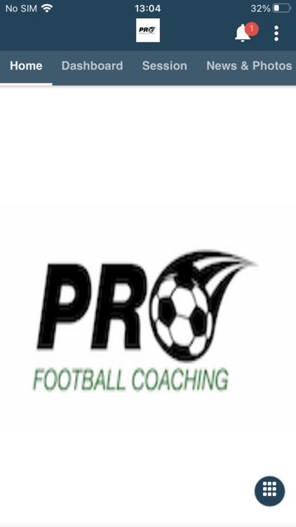 Pro Football Coaching