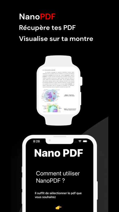 NanoPDF Screenshot
