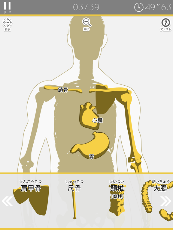 あそんでまなべる 人体模型パズルのおすすめ画像2