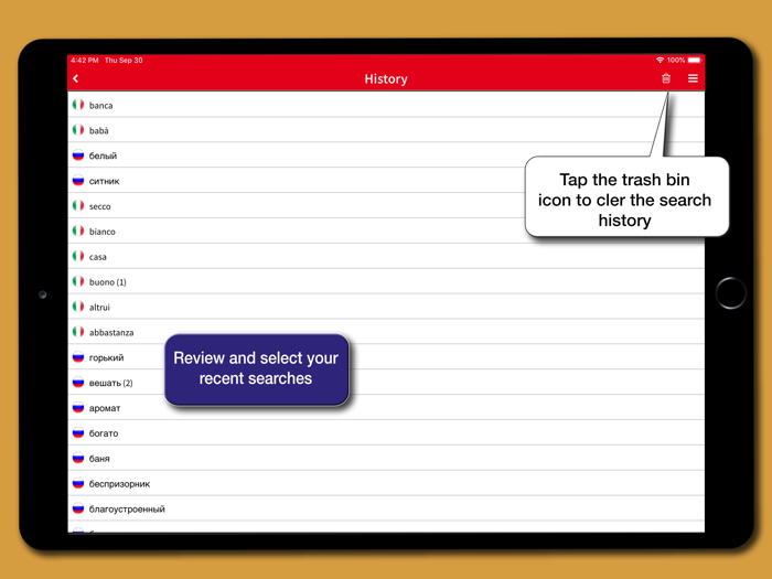 Dizionario Tecnico Russo