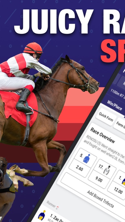 MarantelliBet | Bet on Racing