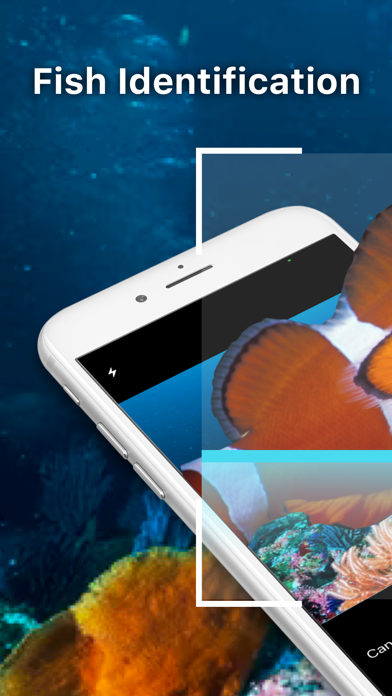 Fish Id 魚図鑑 魚判別 画像検索アプリ Iphoneアプリ Applion