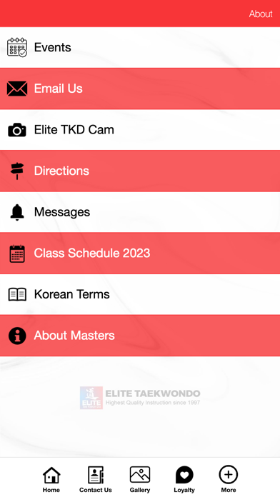 Elite Taekwondo Martial Arts Screenshot