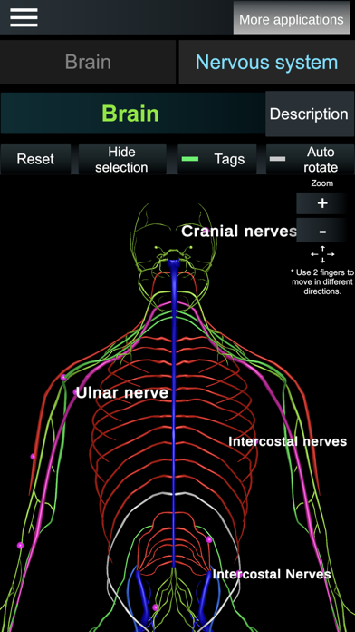 Brain and nerves (Anatomy) Screenshot