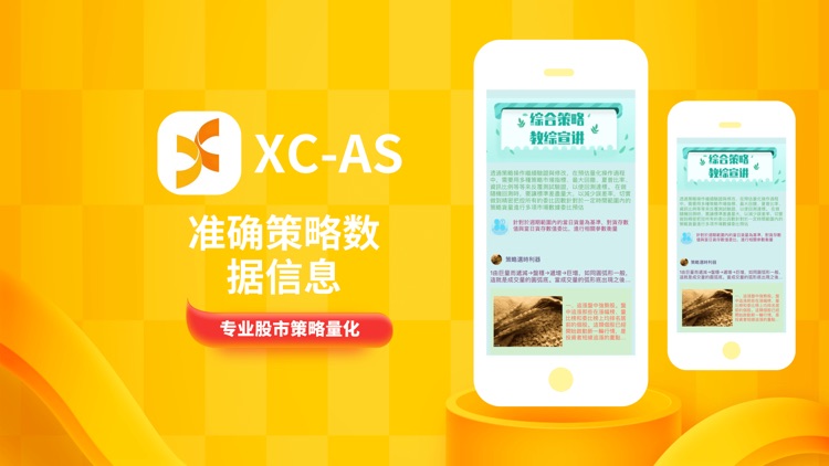 XCAS screenshot-3