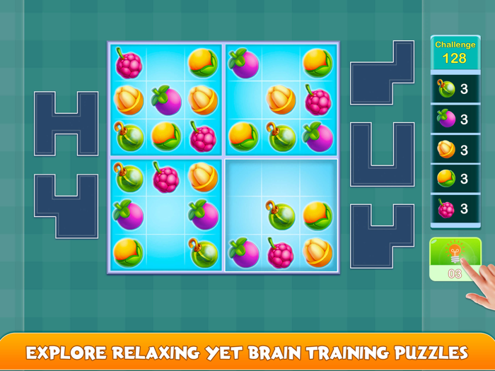 The Puzzle  Blossom Adventure