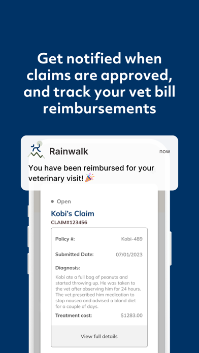 Rainwalk Pet Insurance Screenshot