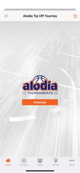 Game screenshot Alodia Basketball hack