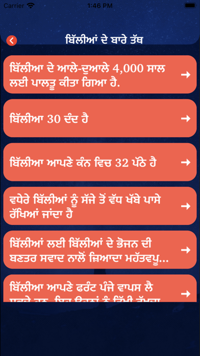 Punjabi Facts & Punjabi Status Screenshot