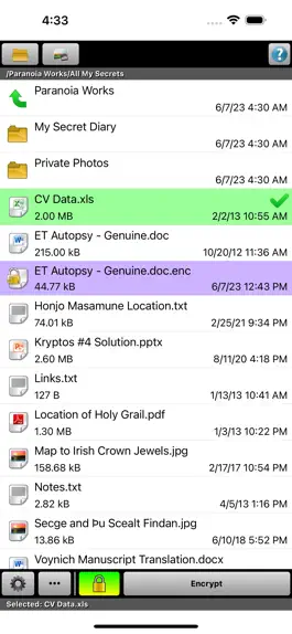 Game screenshot Paranoia File Encryption Lite mod apk