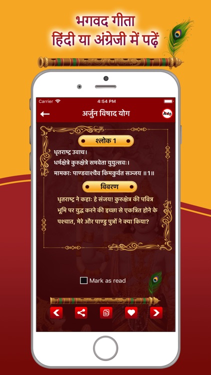 Bhagavad Gita Hindi !