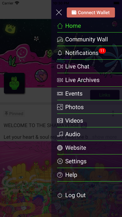 Shamanzs Screenshot