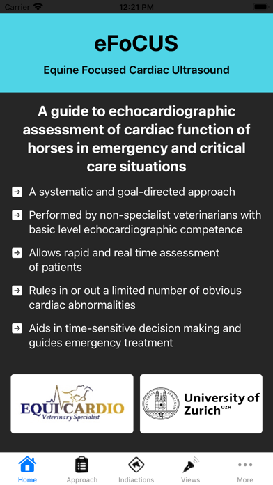 equine FoCUS Screenshot