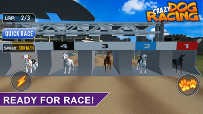 Crazy Dog Racing -Dog Games Screenshot