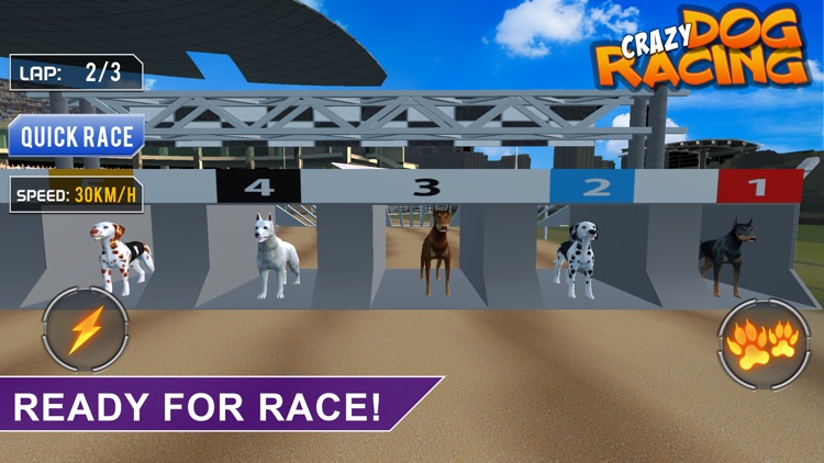 Crazy Dog Racing -Dog Games screenshot-5