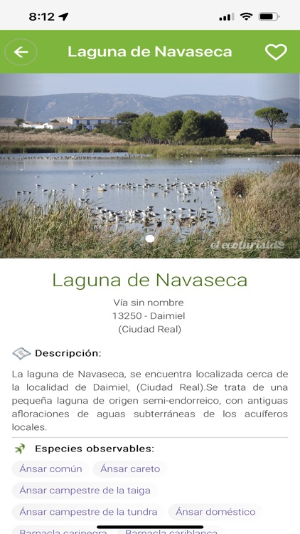 ManchaBirds screenshot-4