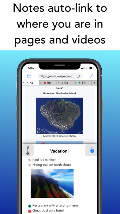 Iceberg Browser Notes Screenshot