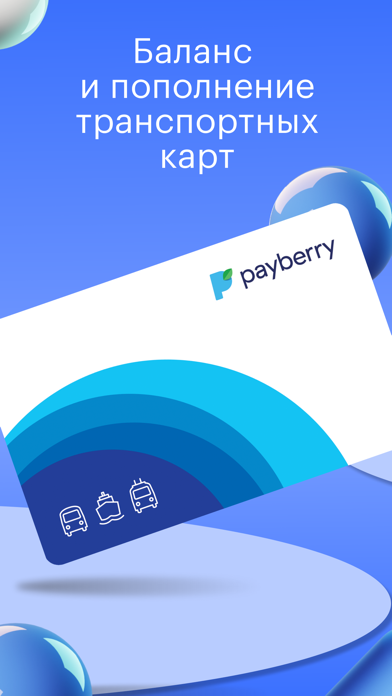 Payberry Screenshot