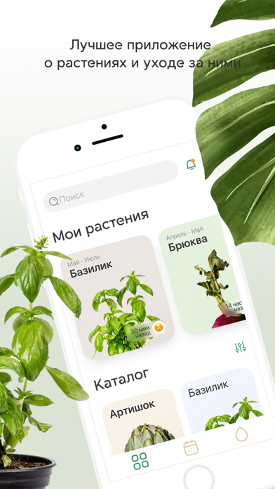 Plant Push Screenshot