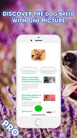 Game screenshot Dog Breed Identifier PRO mod apk