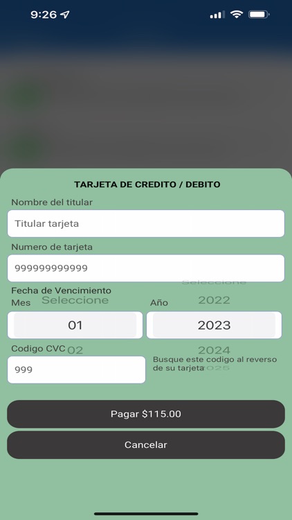 USOLink screenshot-8