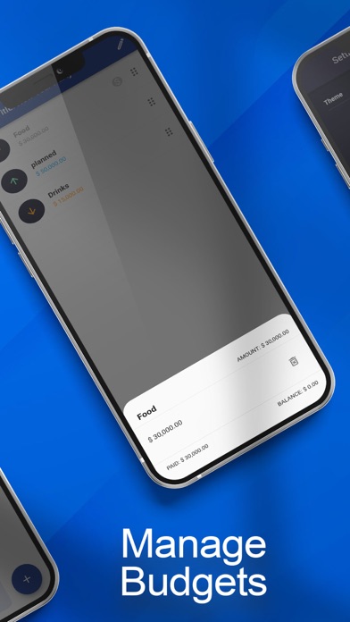 The Budgeter Screenshot