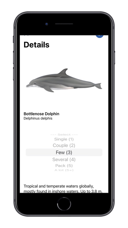 #7. NetGuard - Save the ocean (iOS) 由: Alfastack Ltd.