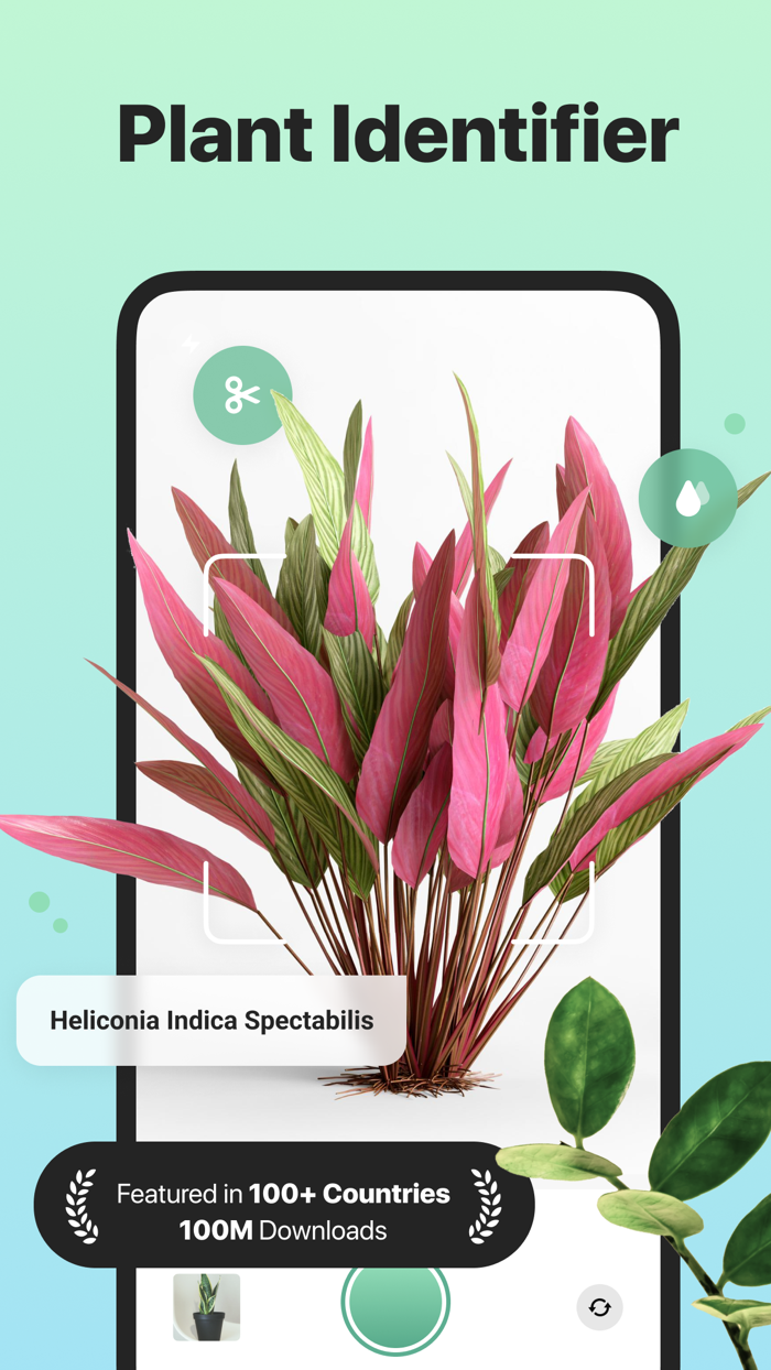The Plant Identifier and Care