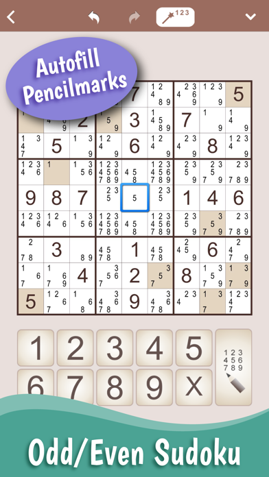 Conceptis Sudoku screenshot 4