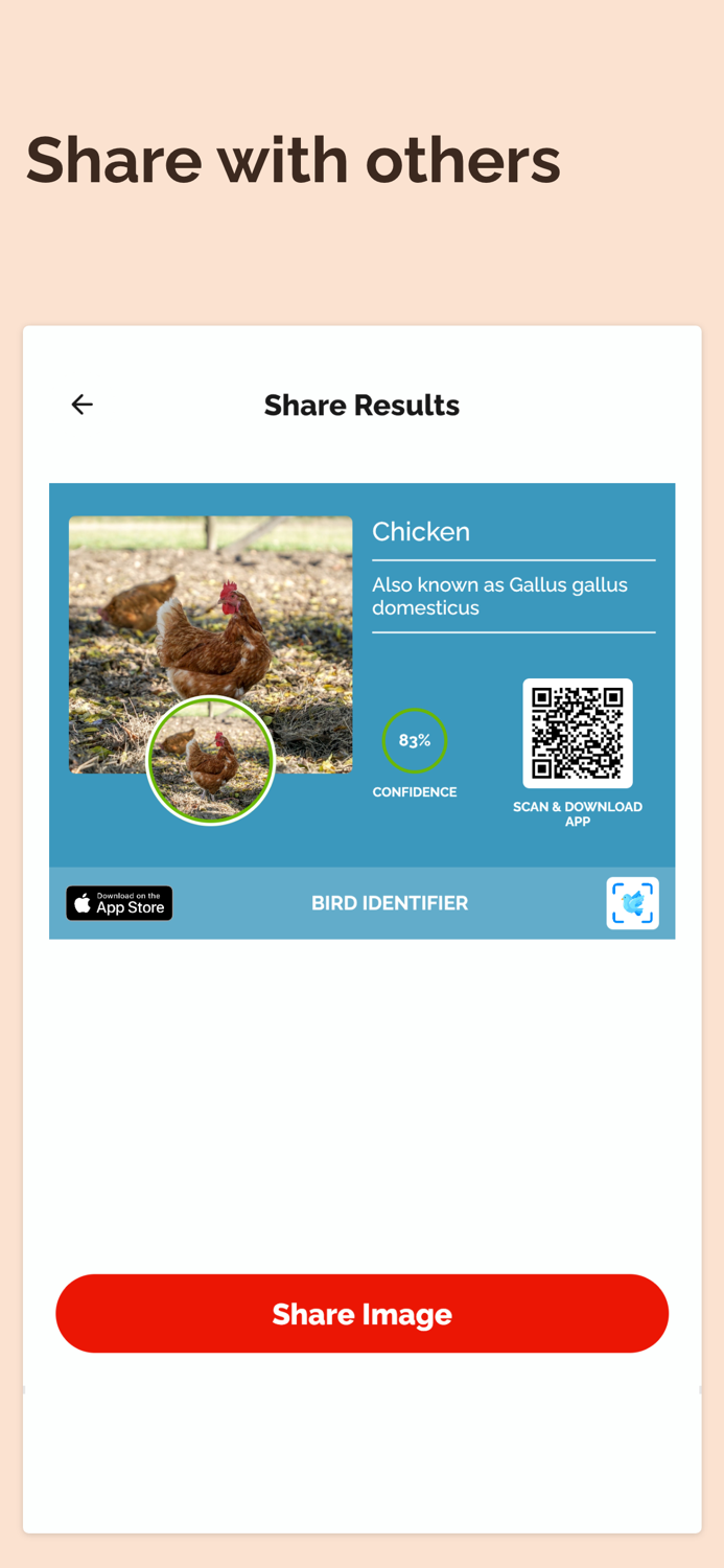 Bird Identifier Bird Id