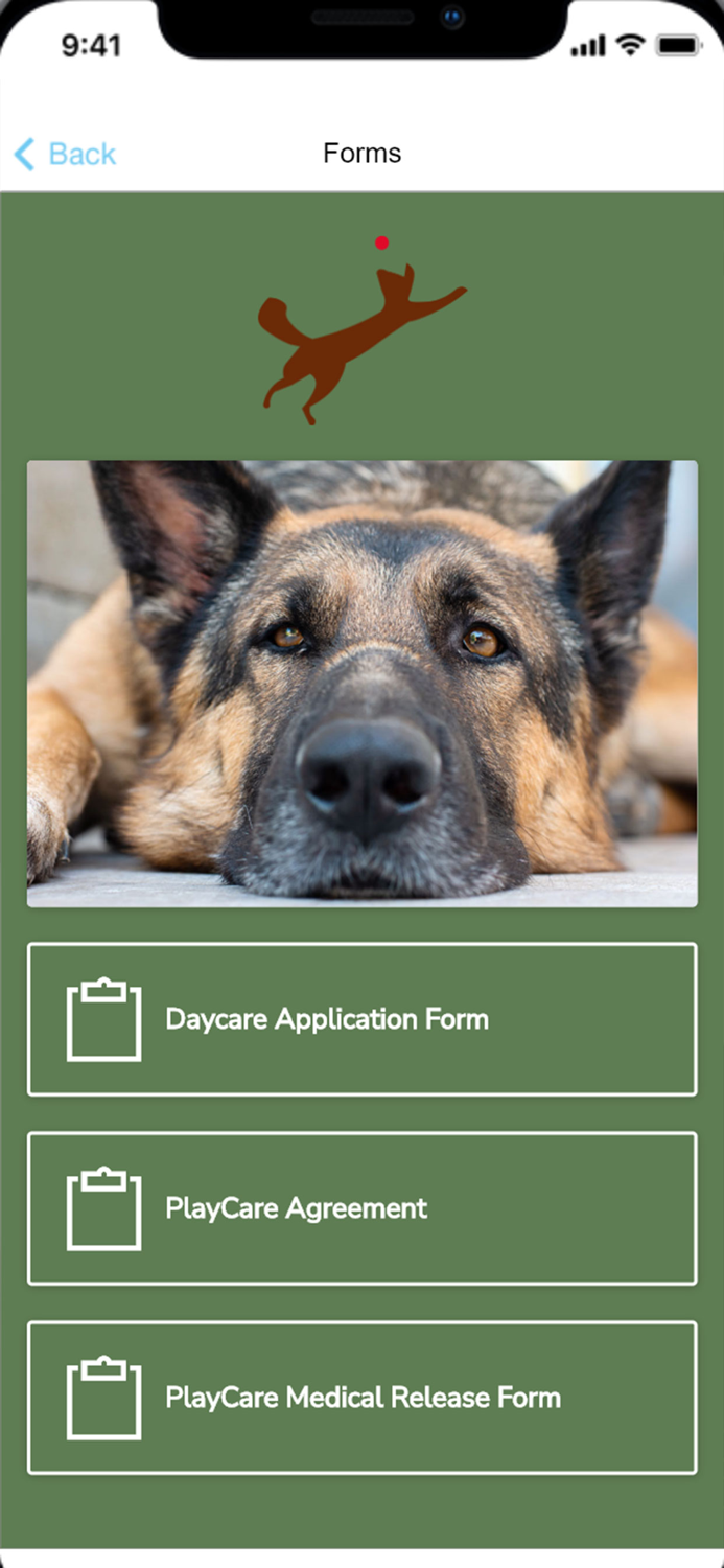 Windy Bog Doggie PlayCare