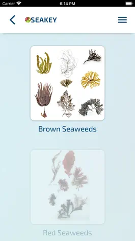 Game screenshot SeaKey apk