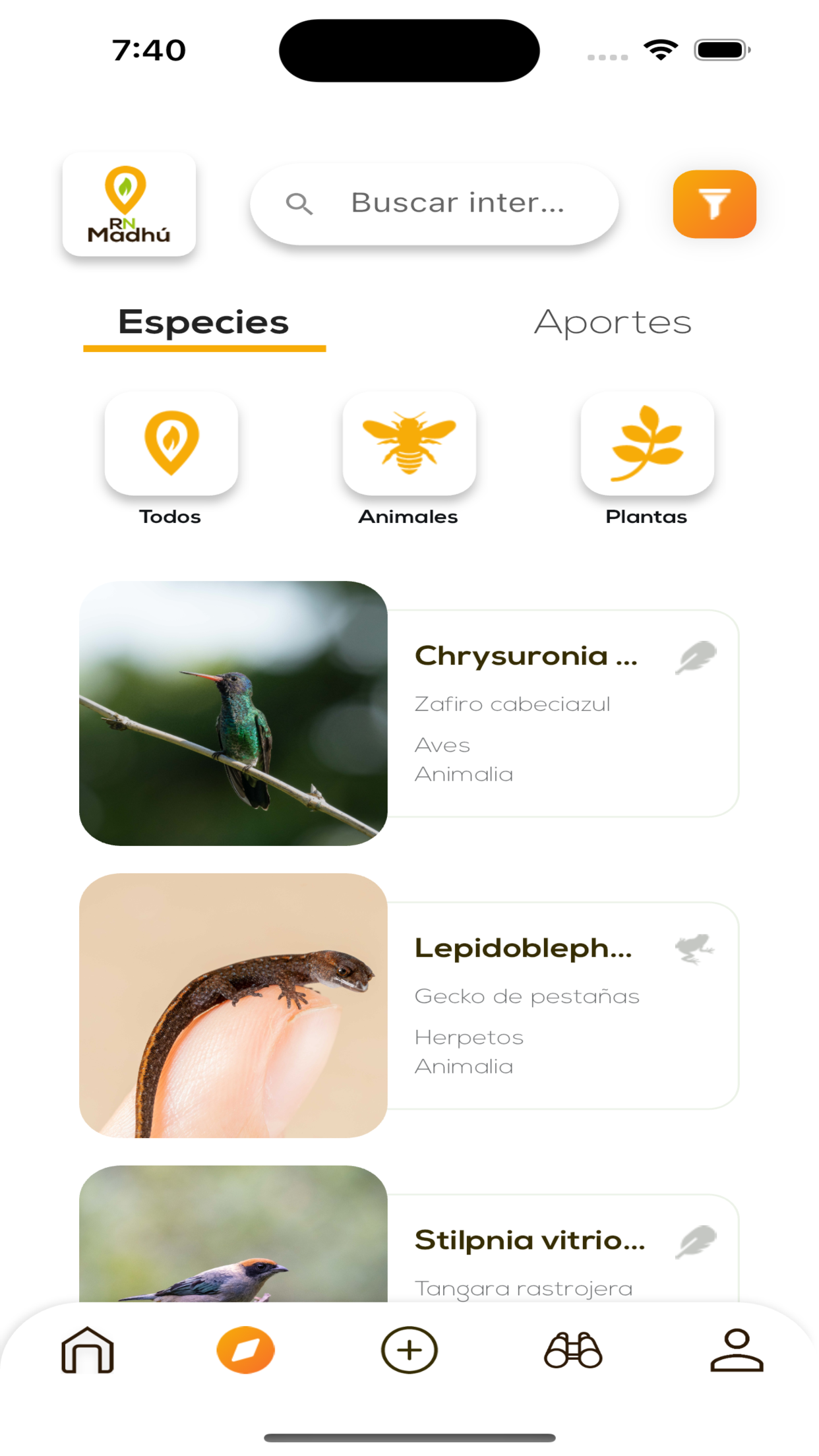 Cleanup: Siivous puhelin