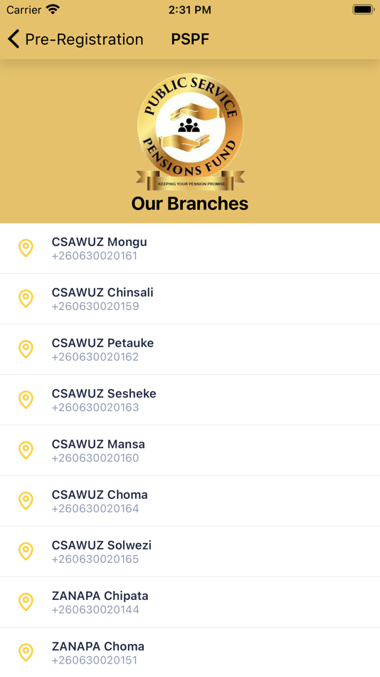 #2. Public Pensions Fund App (iOS) 由: Choolwe Ngandu