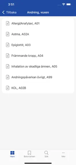 Game screenshot Ambulans Västmanland hack