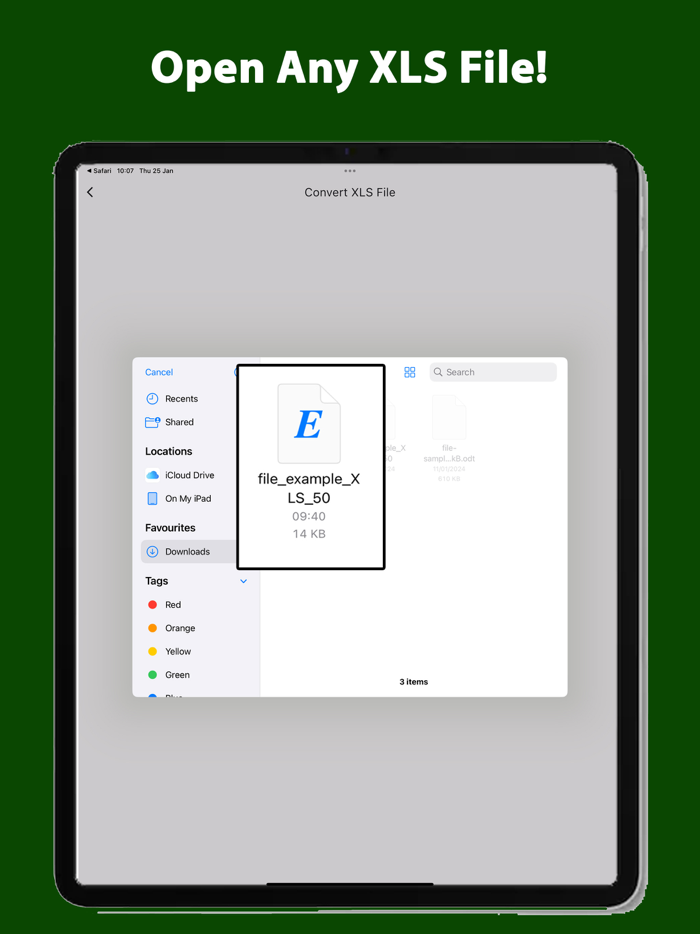XLS Reader PDF XLSX Converter