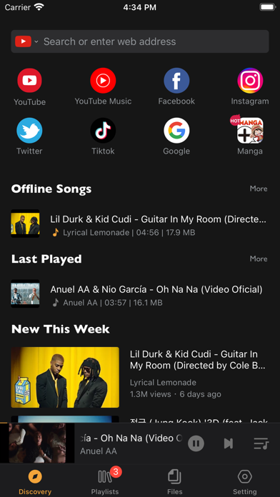 Offline:Music Player & Browser Screenshot