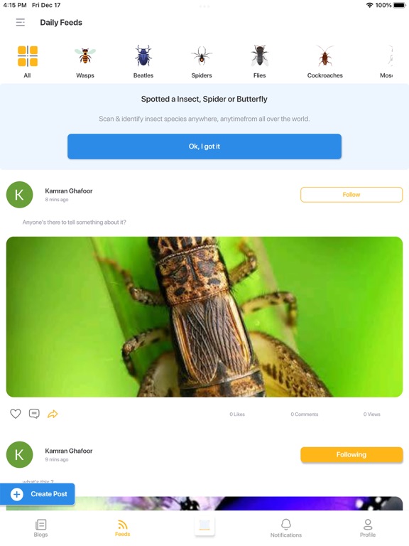 Insect photo Identifier AI