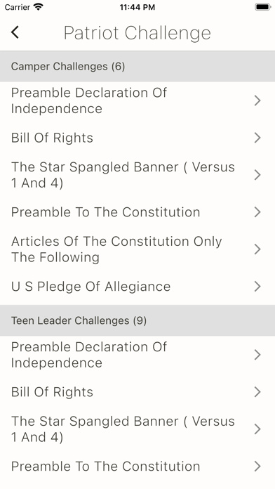 American Patriot Camp Screenshot