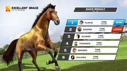 Horse Racing Game: Sports Game Screenshot