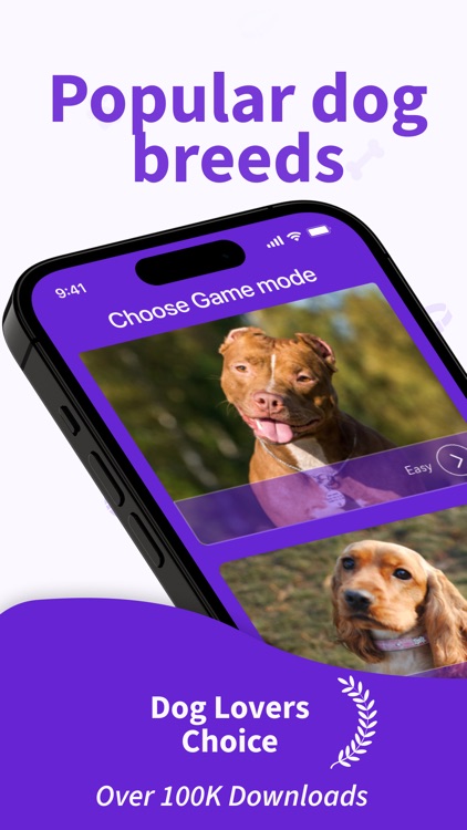 Dog Breeds Training Games Life