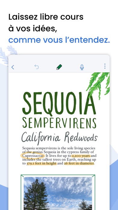 Notability Notability
