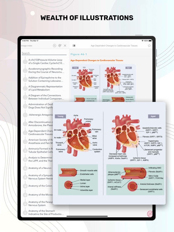 Screenshot #6 pour Stoelting Anesthetic Practice