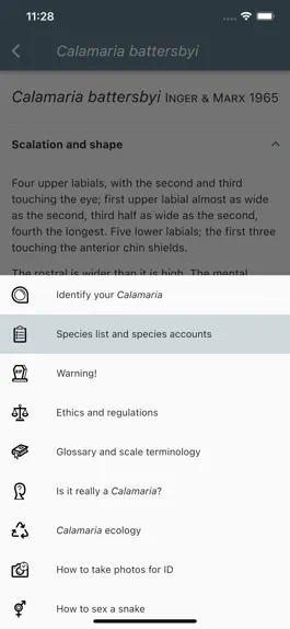 Game screenshot Calamaria of Borneo apk