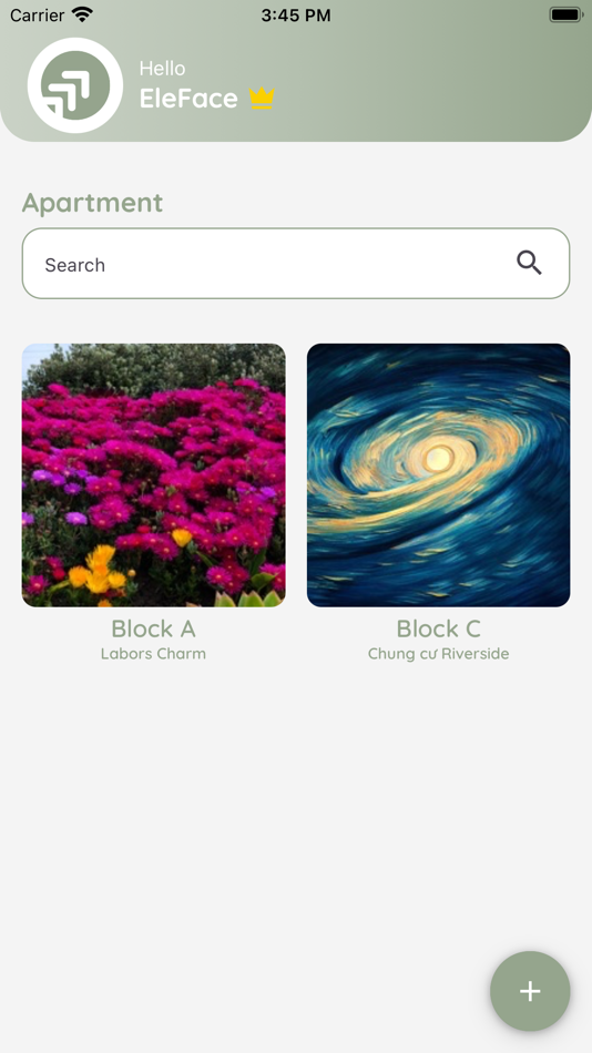 #1. EleFace (iOS) 由: Vuong Nguyen Quoc
