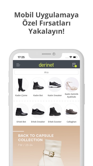 Derinet Screenshot