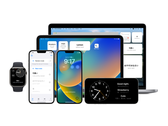 MemorizeWidget learn in widget iPad screenshot 7 - Education app