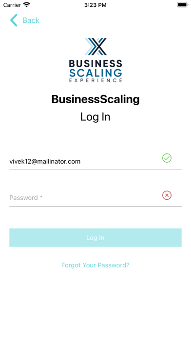 BusinessScaling Screenshot