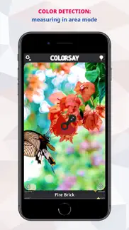 colorsay • color scanner iphone screenshot 1